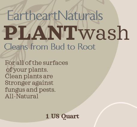 Plant Wash with NEEM 1 quart bottle