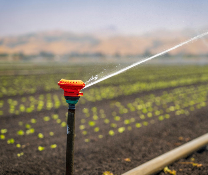 Pivot & Field Irrigation