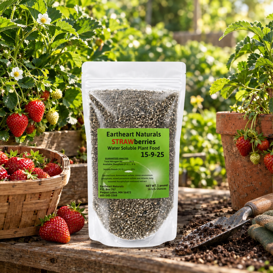 One 16 oz bag of Strawberry Plant Nutrients