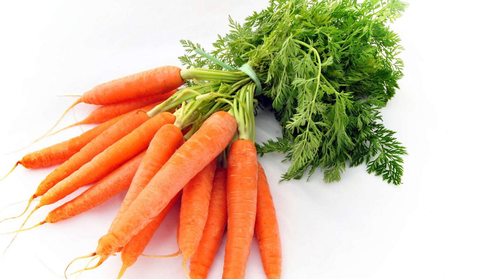 One 16 oz bag of Garden Veggie Plant Food