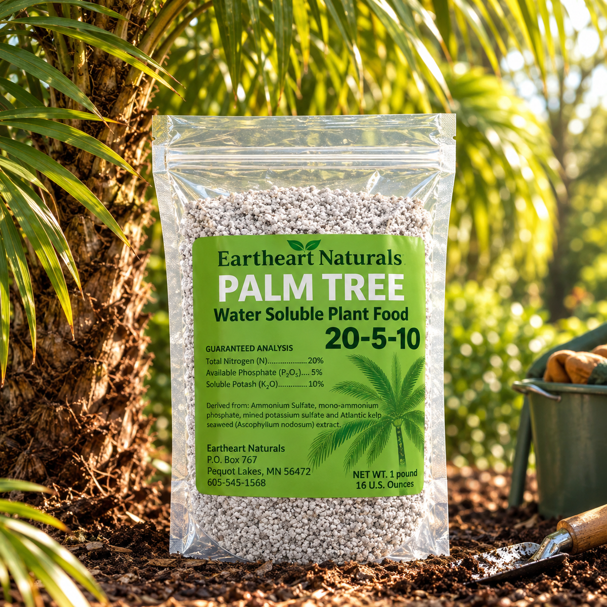 One 16 oz bag of Palms Up Nutrients for Palm Trees