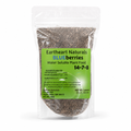 One 16 oz bag of Blueberry Plant Nutrients