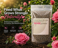 One 16 oz bag of RosePlant Nutrients