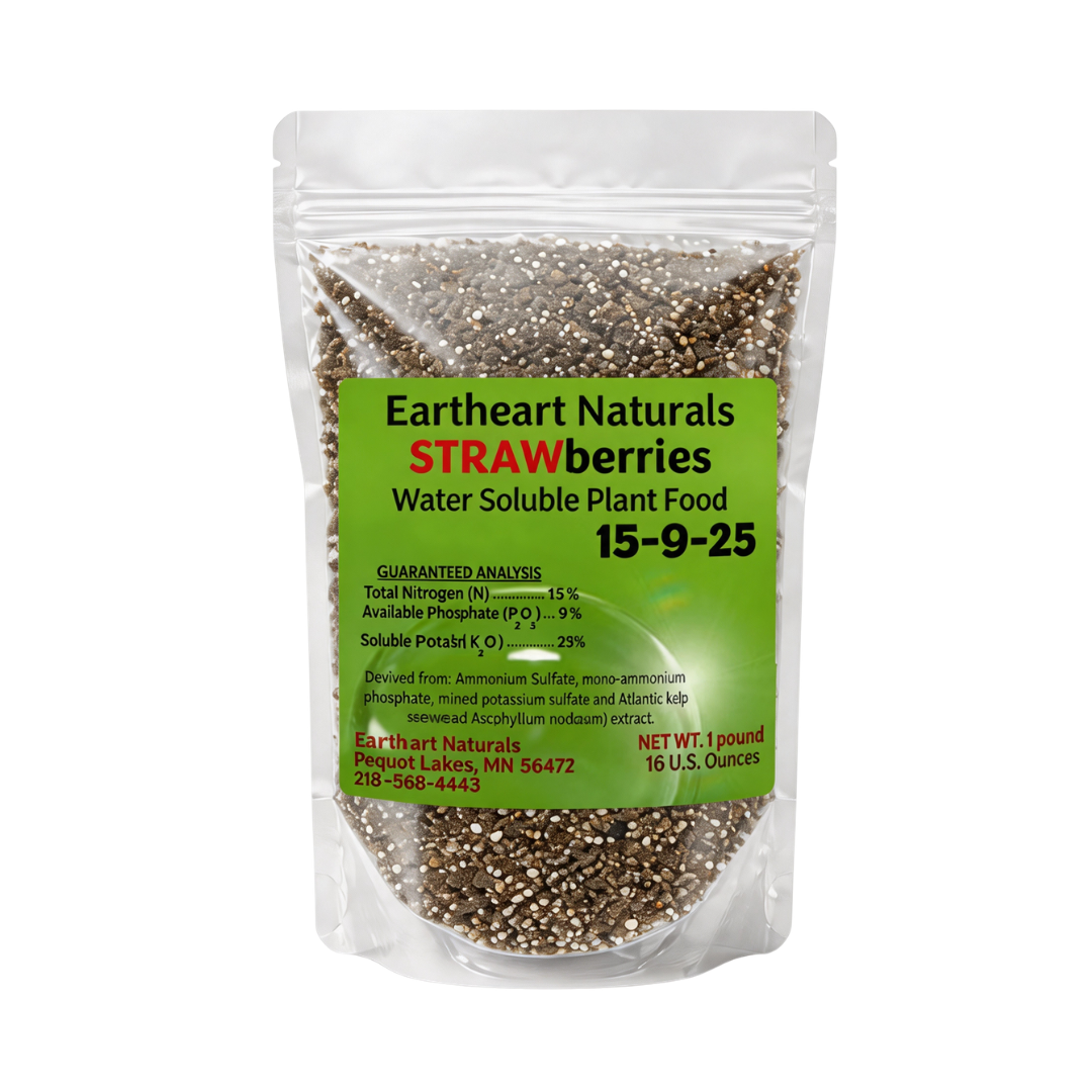 One 16 oz bag of Strawberry Plant Nutrients
