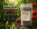 One 16 oz bag of Tomato Power nutrients
